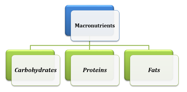 Macronutrients